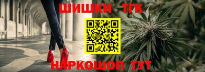 амф Гусев
