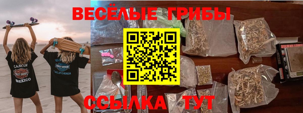 Псилоцибиновые грибы ЛСД Иваново